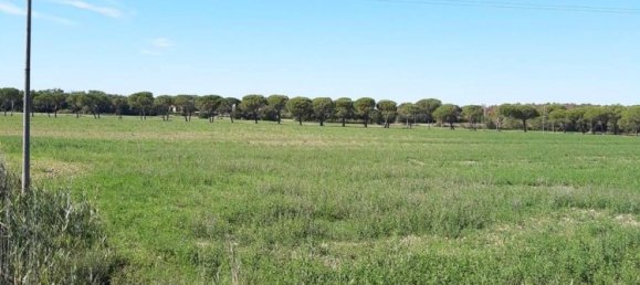 Дом с 10 комнатами в Кастильоне дель Лаго, Италия № 64377 5