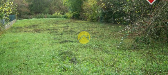 2 Schlafzimmer Haus in Saint-Florent-sur-Cher, France, Nr. 216940 4