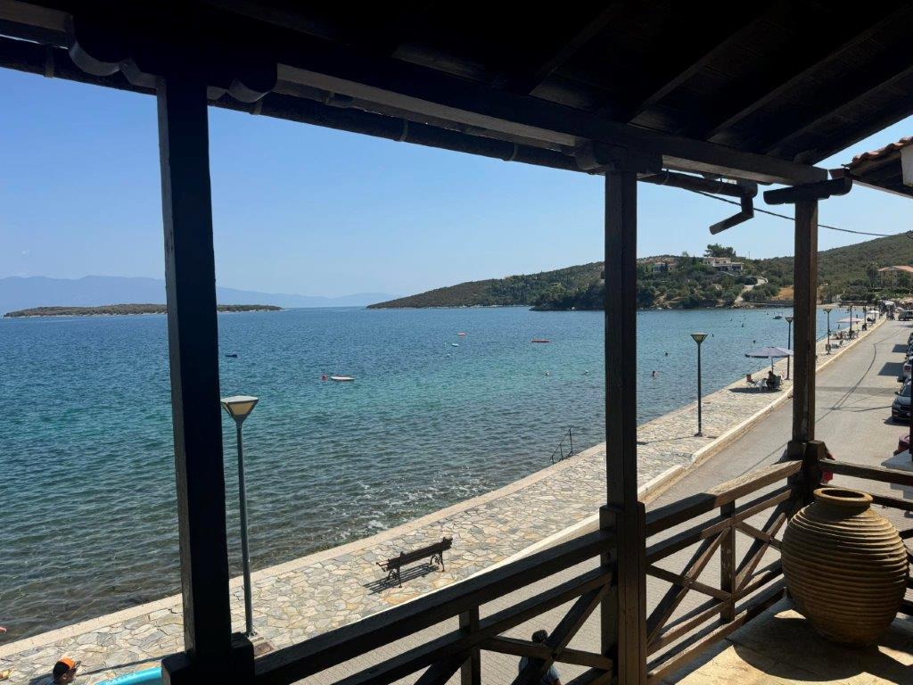 Propiedad comercial de 5 dormitorios en Magnesia, Greece No. 8384