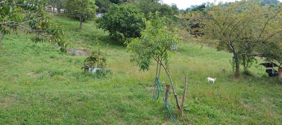 4 Schlafzimmer Haus in San Martin del Rey Aurelio, Spain, Nr. 166447 31