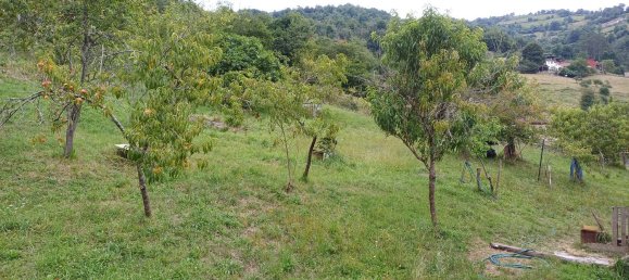 4 Schlafzimmer Haus in San Martin del Rey Aurelio, Spain, Nr. 166447 48