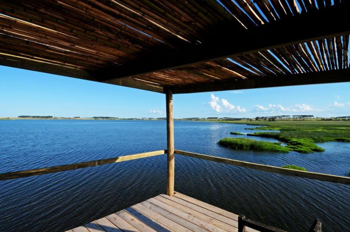  Farm in Maldonado, Uruguay No. 14544