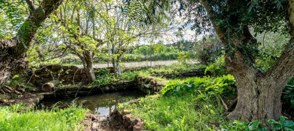 4 Schlafzimmer Villa in Sao Bartolomeu de Messines, Portugal, Nr. 102123 20