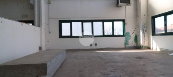 5غرفة شقة في Roncoferraro, Italy رقم 72353 18