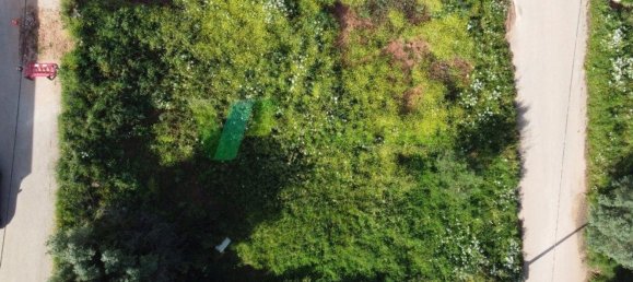 Земельный участок 572м² в Мешильоейра Гранде, Португалия № 54020 3