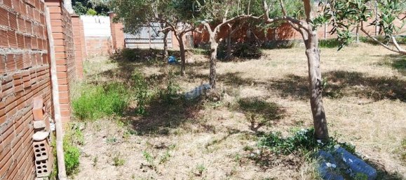 1m² Land in Sant Llorenc D'hortons, Spain No. 165851 6