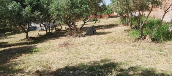 1m² Land in Sant Llorenc D'hortons, Spain No. 165851 18