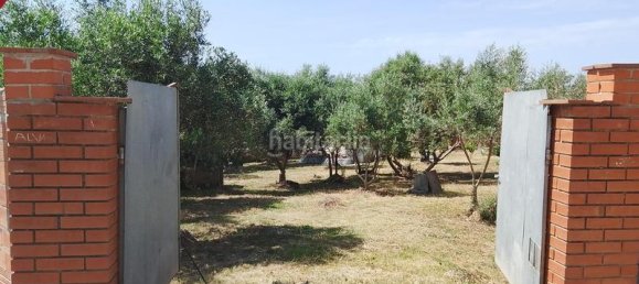 1m² Land in Sant Llorenc D'hortons, Spain No. 165851 14