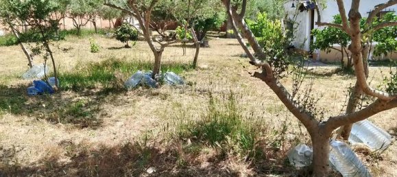 1m² Land in Sant Llorenc D'hortons, Spain No. 165851 7