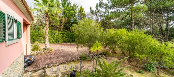 7 bedrooms House in Quinta do Conde, Portugal No. 91586 8