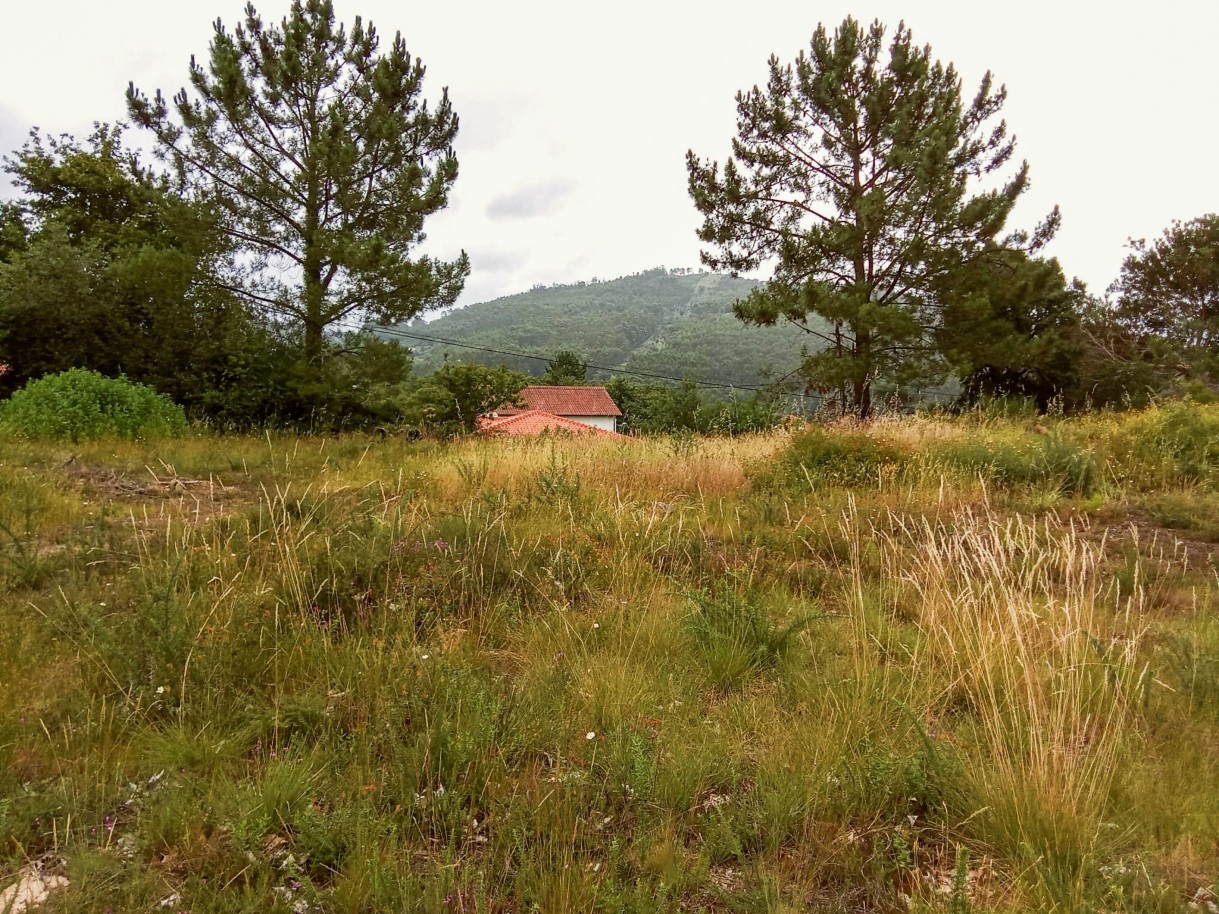  قطعة أرض في Viana do Castelo, Portugal 904متر مربع رقم 59147