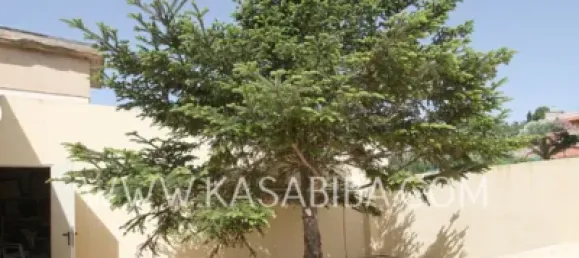 5 bedrooms House in Turis, Spain No. 70059 7