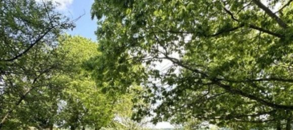 4 bedrooms House in Nonvilliers-Grandhoux, France No. 242291 13