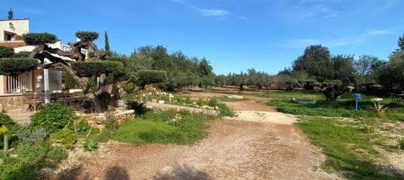 3 Schlafzimmer Haus in Tarragona, Spain, Nr. 159267 39