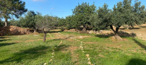 3 Schlafzimmer Haus in Tarragona, Spain, Nr. 159267 37