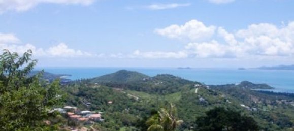  قطعة أرض في Ko Samui, Thailand 800متر مربع رقم 63783 5