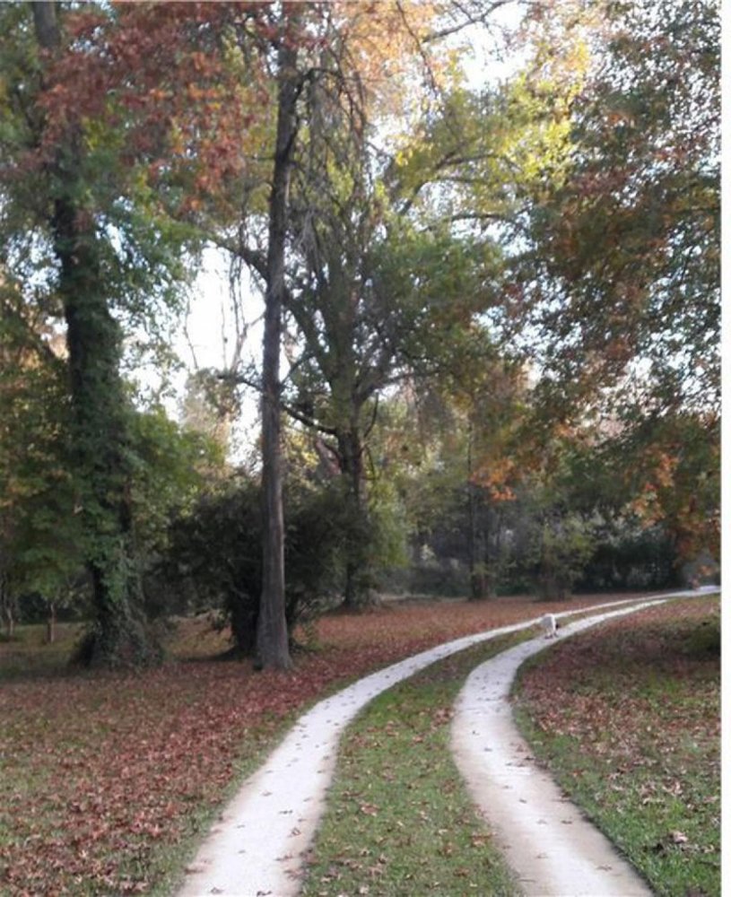 4 bedrooms Farm in Escobar, Argentina No. 118544