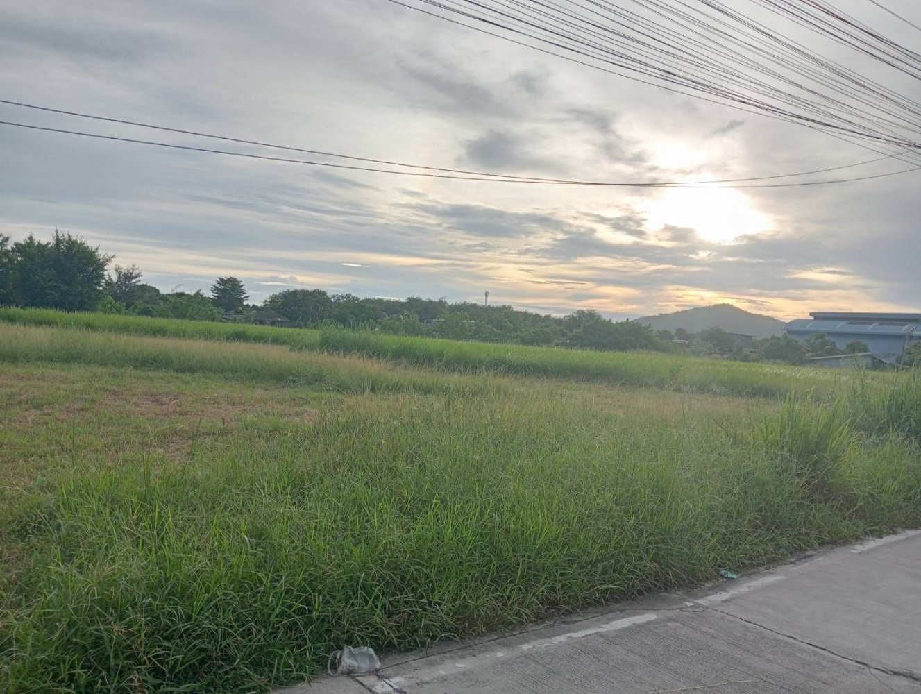 Grundstück in Rayong, Thailand 3200m², Nr. 74407