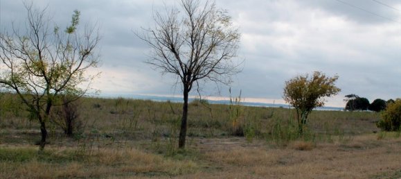 4000m² Hotel in Chalkidiki, Greece No. 7544 2