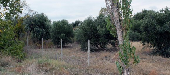 4000m² Hotel in Chalkidiki, Greece No. 7544 7