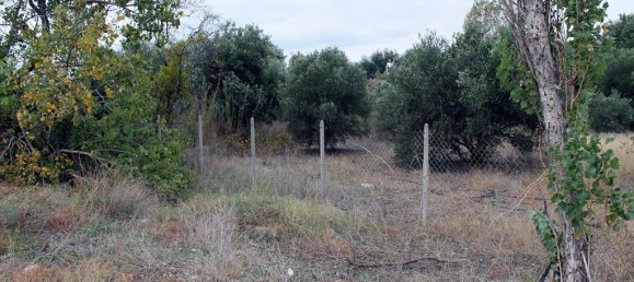 4000m² Hotel in Chalkidiki, Greece No. 7544 6