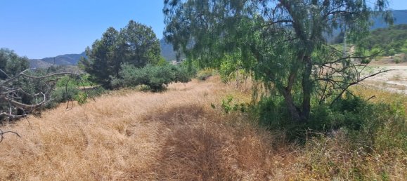 Casa T3 em Murcia, Spain N.º 159424 30