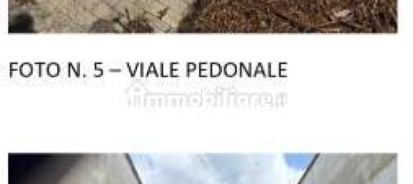 5 bedrooms Apartment in Nettuno, Italy No. 190459 5