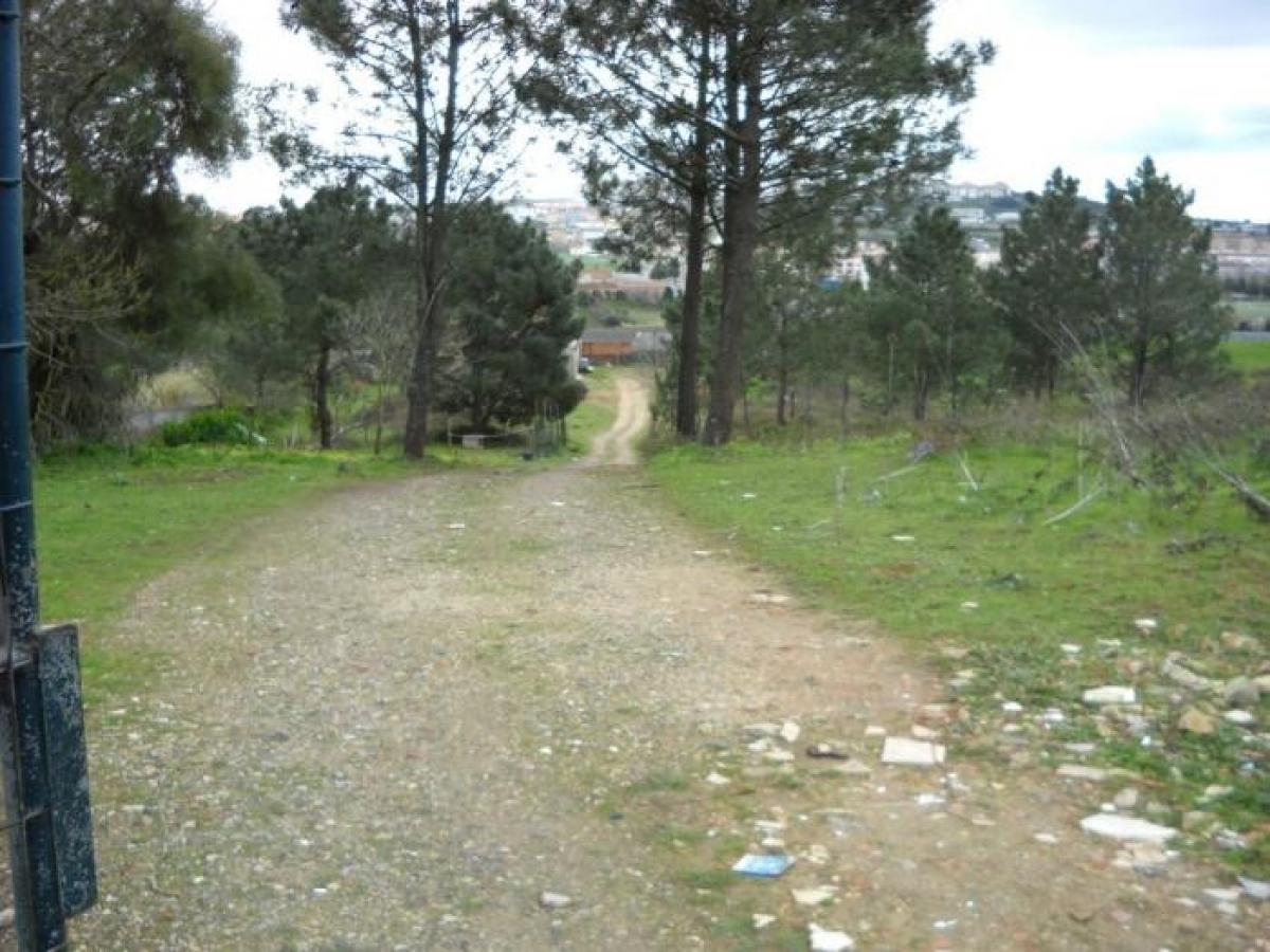 616m² Land in Sintra, Portugal No. 8561