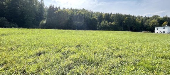 Terreno en Weiz, Austria 837 m² No. 239581 2