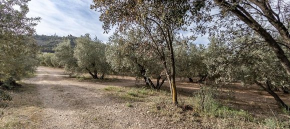 Terrain à Albolote, Spain 3930m² No. 188842 4