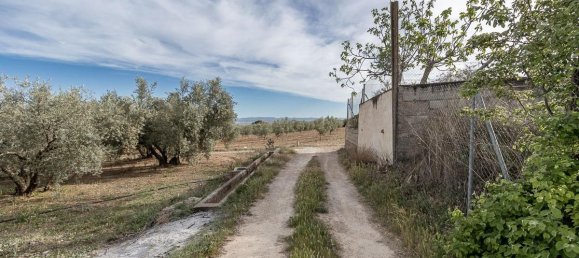 Terrain à Albolote, Spain 3930m² No. 188842 2