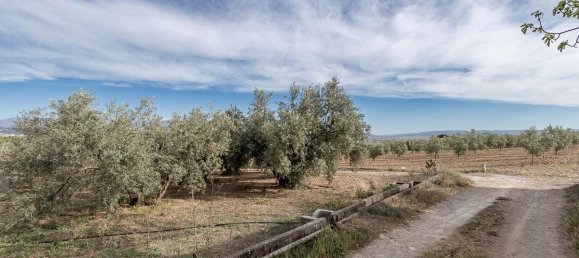 Terrain à Albolote, Spain 3930m² No. 188842 3