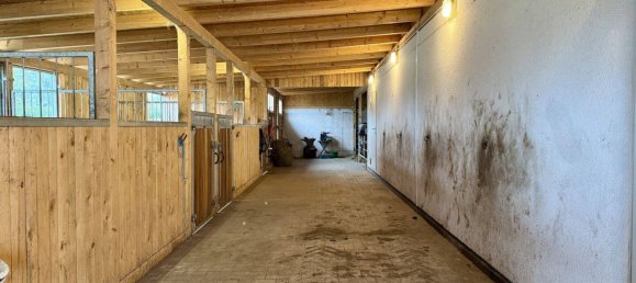 6 Schlafzimmer Bauernhof in Nienburg, Germany, Nr. 239451 17