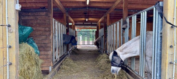 6 Schlafzimmer Bauernhof in Nienburg, Germany, Nr. 239451 19