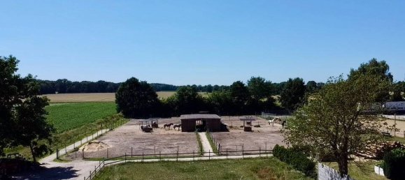 6 Schlafzimmer Bauernhof in Nienburg, Germany, Nr. 239451 20