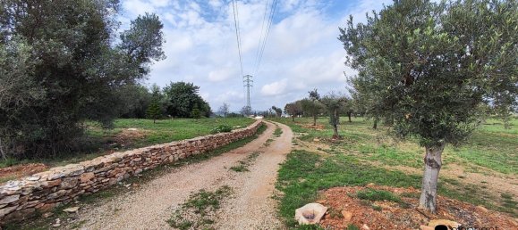 Casa T4 em Castellon, Spain N.º 136042 37