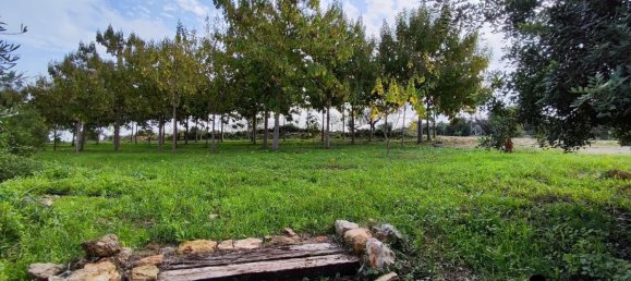 Casa T4 em Castellon, Spain N.º 136042 34