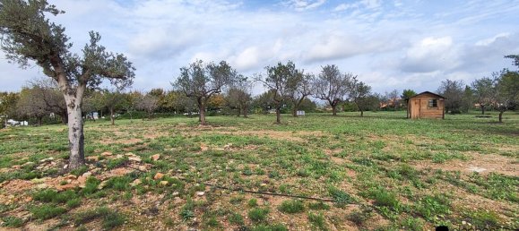 Casa T4 em Castellon, Spain N.º 136042 42