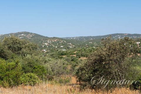 Grundstück in Faro, Portugal, Nr. 257384