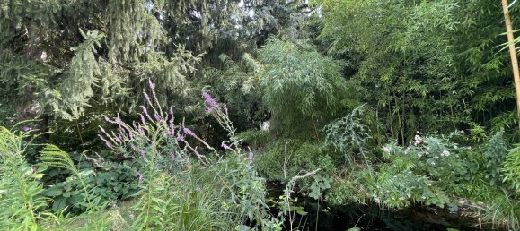  قطعة أرض في Hesse, Germany رقم 132197 6