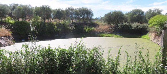 9 bedrooms House in Fundao, Portugal No. 76982 35