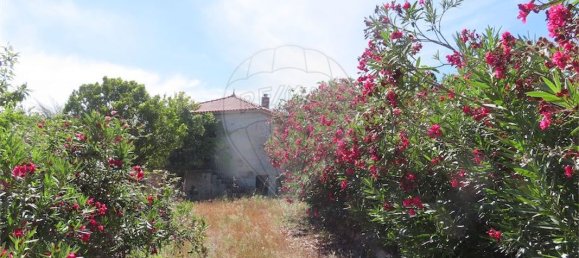 9 bedrooms House in Fundao, Portugal No. 76982 3