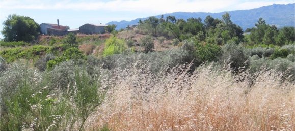 9 bedrooms House in Fundao, Portugal No. 76982 46