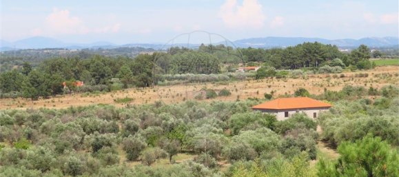 9 bedrooms House in Fundao, Portugal No. 76982 28