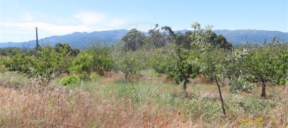 9 bedrooms House in Fundao, Portugal No. 76982 29