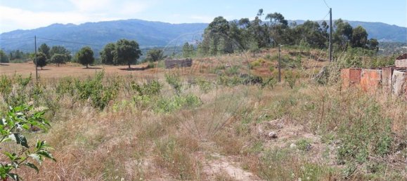 9 bedrooms House in Fundao, Portugal No. 76982 38