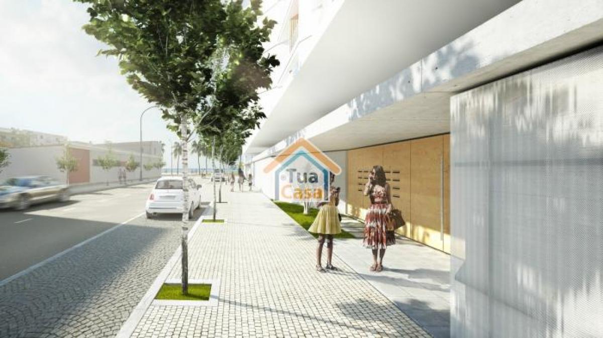 استوديو في Olhao, Portugal رقم 537