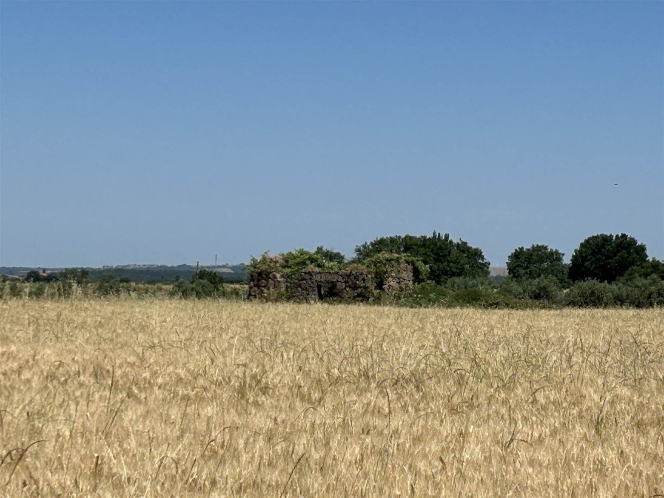 Terrain à Tuscania, Italy 20040m² No. 304299