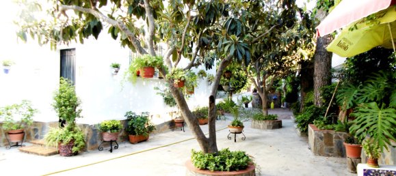 6 bedrooms Villa in Coin, Spain No. 32105 32