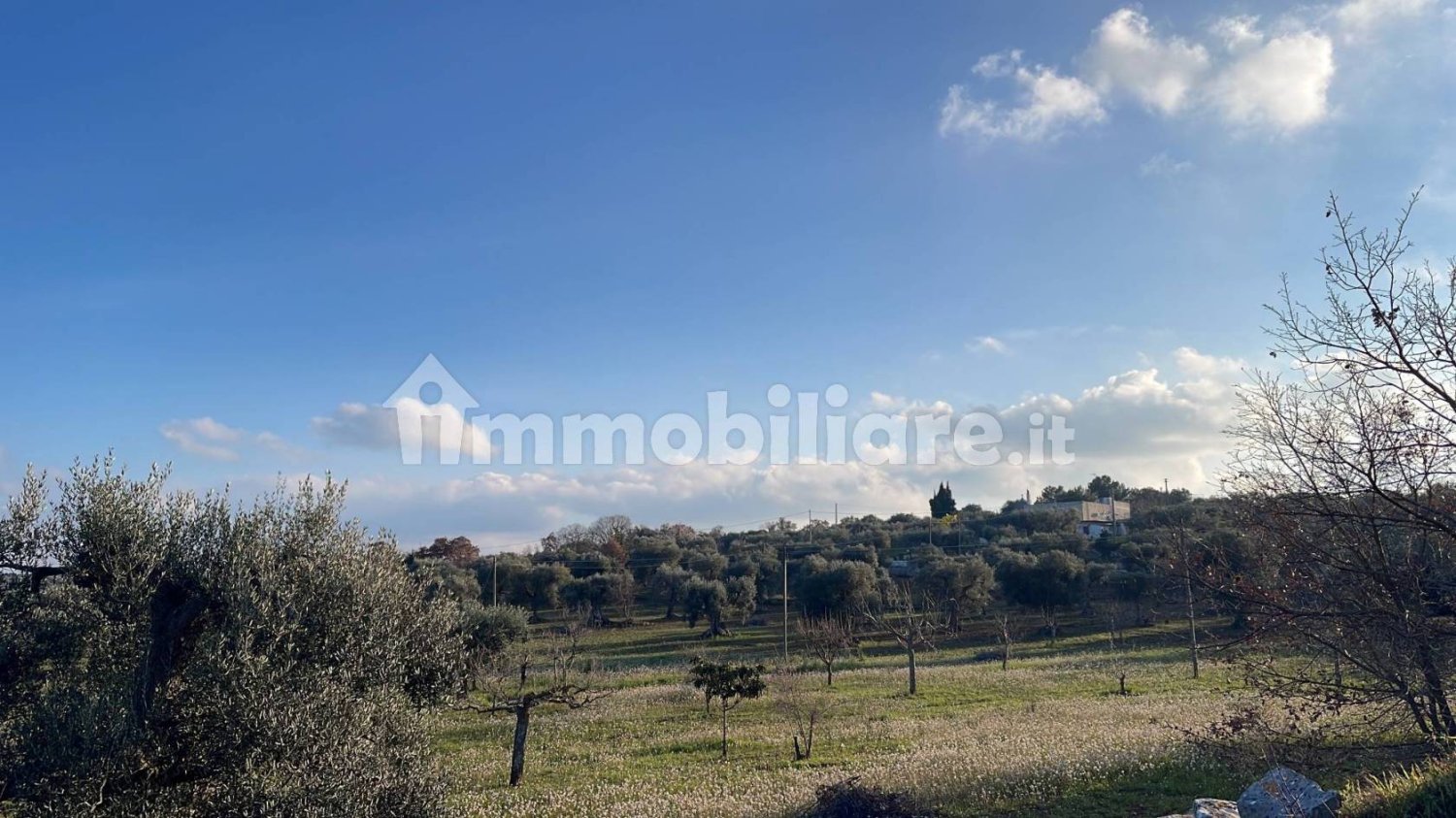 2 chambres Maison à Castellana Grotte, Italy No. 250800